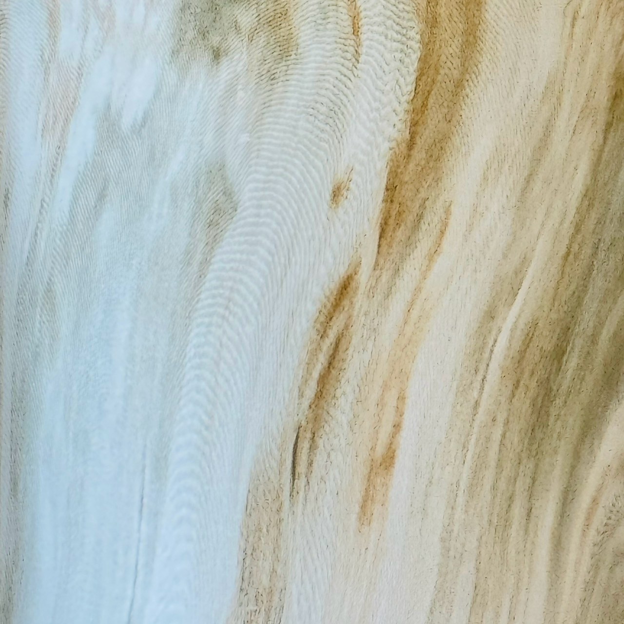時光契約 大理石紋 永生花桌上花禮系列